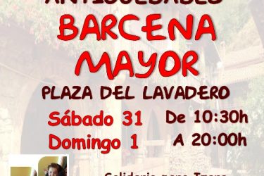 Mercado de Artesanía